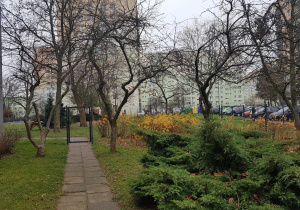 Ogród jesienią - rabaty, drzewa i krzewy.