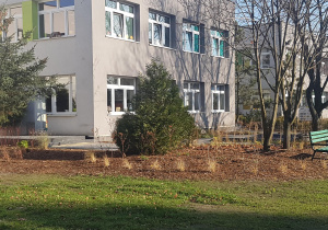 Ogród jesienią - rabaty, drzewa i krzewy.