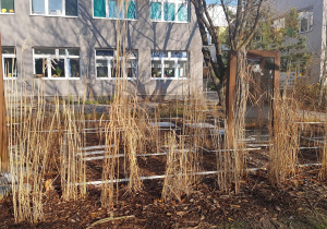 Ogród jesienią - rabaty, drzewa i krzewy.