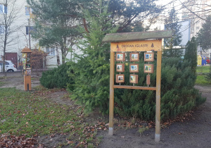 Ogród jesienią - rabaty, drzewa i krzewy.