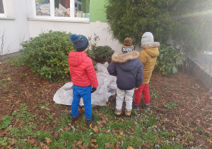 Jesienne prace w ogrodzie.