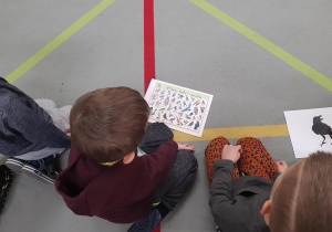 Dzieci uczestniczą w zajęciu edukacyjnym na temat ptaków.