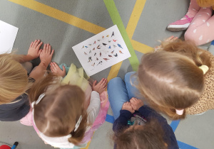 Dzieci uczestniczą w zajęciu edukacyjnym na temat ptaków