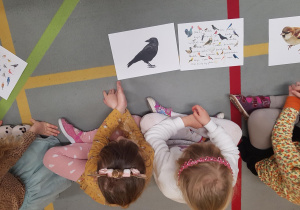 Dzieci uczestniczą w zajęciu edukacyjnym na temat ptaków