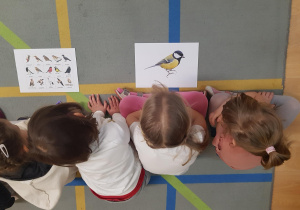 Dzieci uczestniczą w zajęciu edukacyjnym na temat ptaków