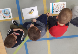 Dzieci uczestniczą w zajęciu edukacyjnym na temat ptaków