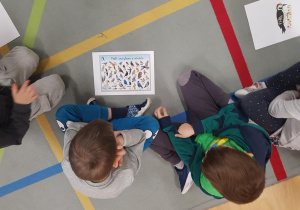 Dzieci uczestniczą w zajęciu edukacyjnym na temat ptaków