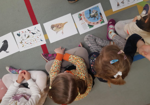 Dzieci uczestniczą w zajęciu edukacyjnym na temat ptaków