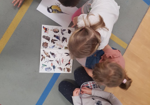 Dzieci uczestniczą w zajęciu edukacyjnym na temat ptaków