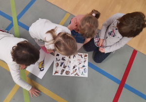 Dzieci uczestniczą w zajęciu edukacyjnym na temat ptaków