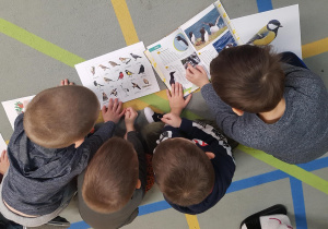 Dzieci uczestniczą w zajęciu edukacyjnym na temat ptaków