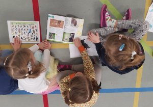 Dzieci uczestniczą w zajęciu edukacyjnym na temat ptaków