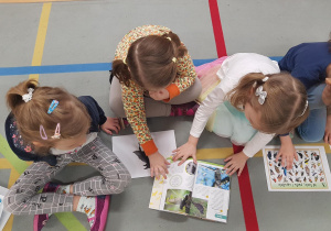 Dzieci uczestniczą w zajęciu edukacyjnym na temat ptaków