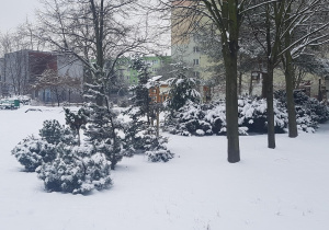 Ogród przedszkolny pokryty śniegiem.