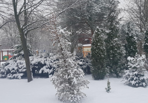 Ogród przedszkolny pokryty śniegiem.