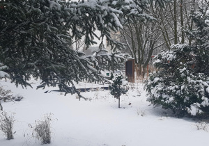 Ogród przedszkolny pokryty śniegiem.