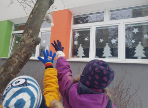 Dokarmiamy ptaki zimą