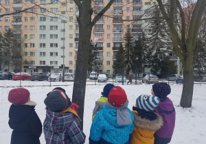 Dzieci dokarmiają ptaki.