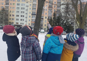 Dzieci dokarmiają ptaki.