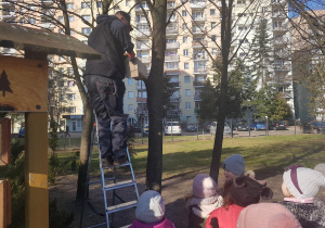 Instalacja budek lęgowych dla ptaków.