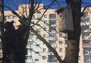 Instalacja budek lęgowych dla ptaków.