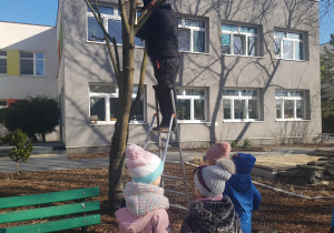 Instalacja budek lęgowych dla ptaków.