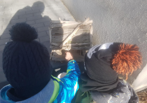 Dzieci wsypują ziarenka dla ptaków do karmnika.