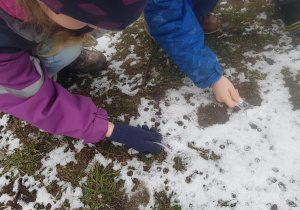 Zabawy badawczeze śniegiem w ogrodziec.