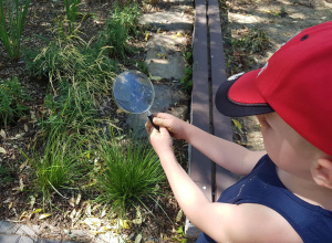 Świat przez lupę - zabawy badawcze w ogrodzie