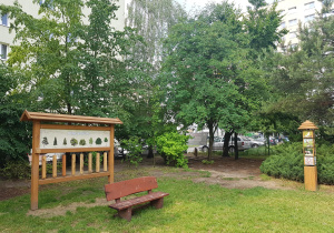 Pomoc edukacyjna - dendrofon.