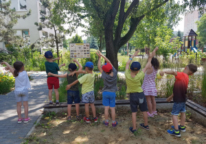 Ćwiczenia ruchowe i relaksacyjne.