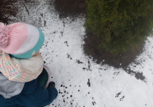 Dzieci oglądają tropy ptaków na śniegu.
