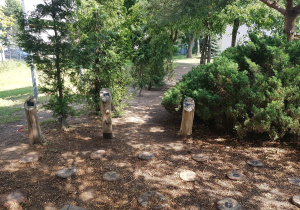 Fragment gry terenowej Leśny labirynt.
