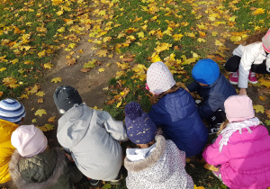 Grupa dziewczynek zbiera kolorowe liście.
