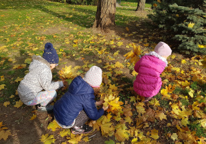 Trzy dziewczynki oglądają liście leżące na trawie.