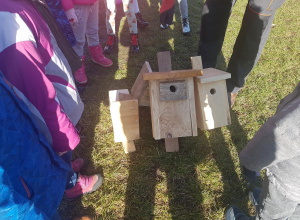 Budki lęgowe dla ptaków - instalacja w ogrodzie