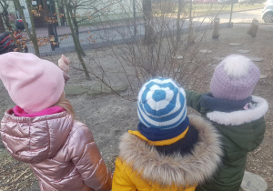 Zdjęcie 3 na 5
