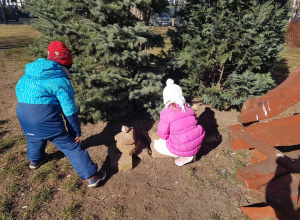 Obserwacje w ogrodzie