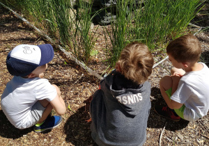 Dzieci oglądają rosliny ogrodowe.
