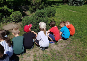 Dzieci oglądają rabatę.
