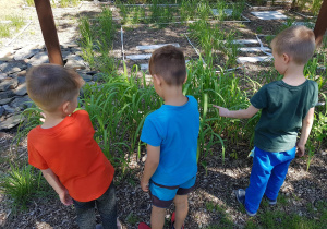 Dzieci przyglądają się roślinom na rabacie.