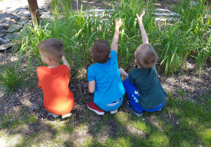 Dzieci przyglądają się roślinom na rabacie.