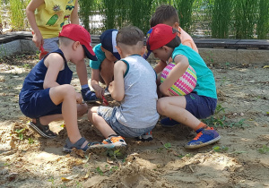 Dzieci bawią się w piaskownicy - odkopują poukrywane na stanowisku geologicznymelementy.