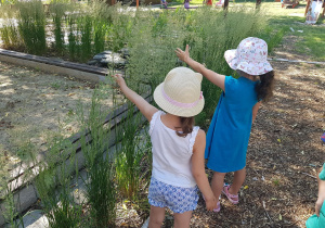 Dwie dziewczynki dotykają traw przy Ścieżce sensorycznej