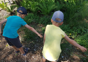 Chłopcy dotykają roślin rosnących na Ścieżce sensorycznej