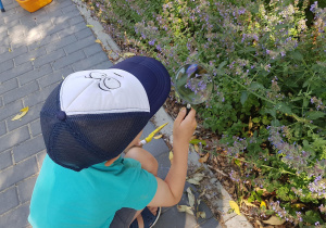 Chłopiec ogląda roślinę przez lupę.