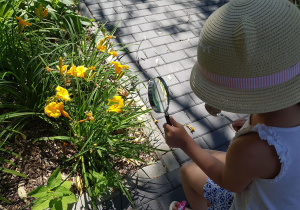 Dziewczynka ogląda kwiaty przez lupę.