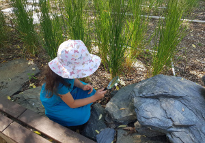 Dziewczynka ogląda skalniak przez lupę.
