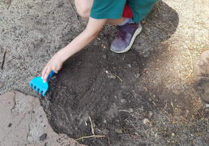 Zabawy badawcze z glebą w ogrodzie