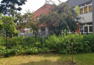 Widok na wejście do przedszkola od strony ogrodu.